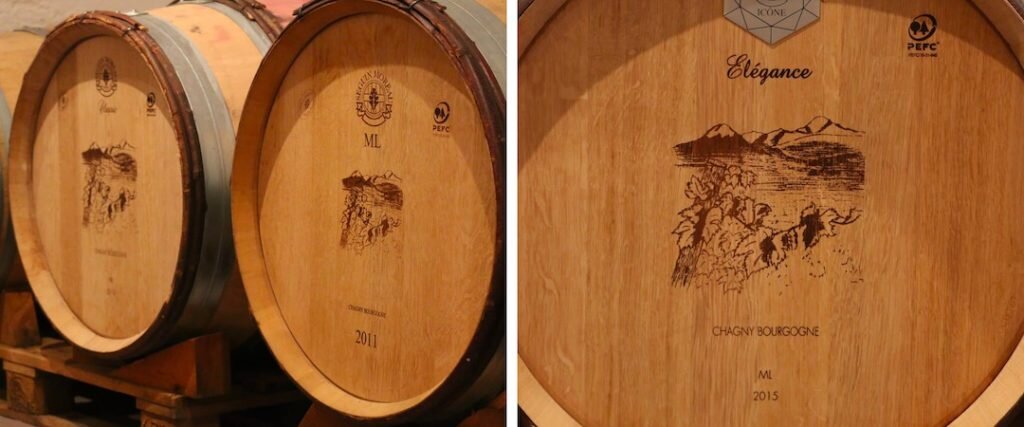 Rangées de vignes au Domaine de Miolan, canton de Genève