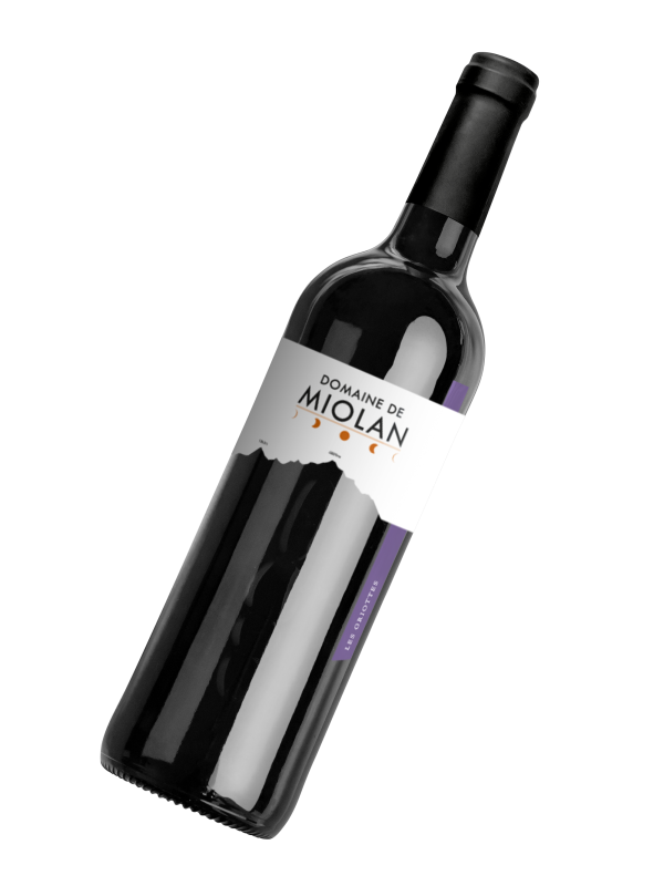 Bouteille - 