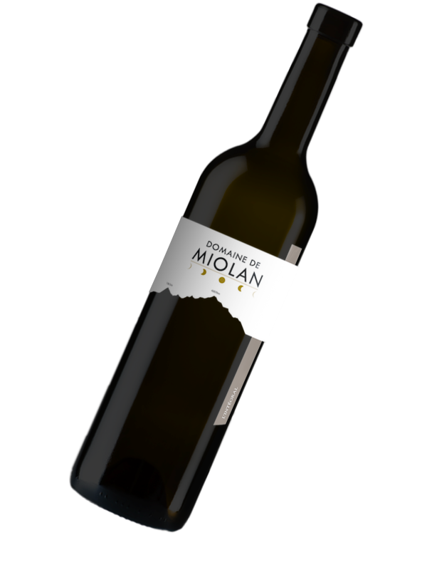 Bouteille - 