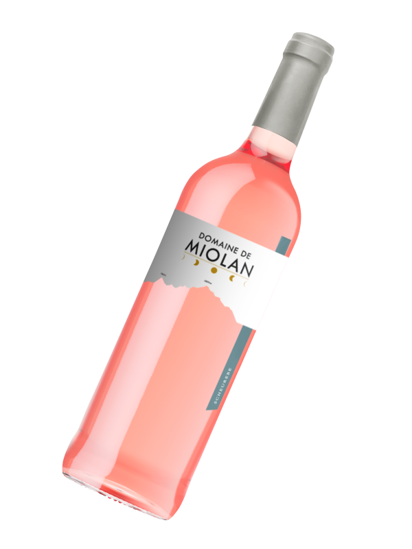 Bouteille - 