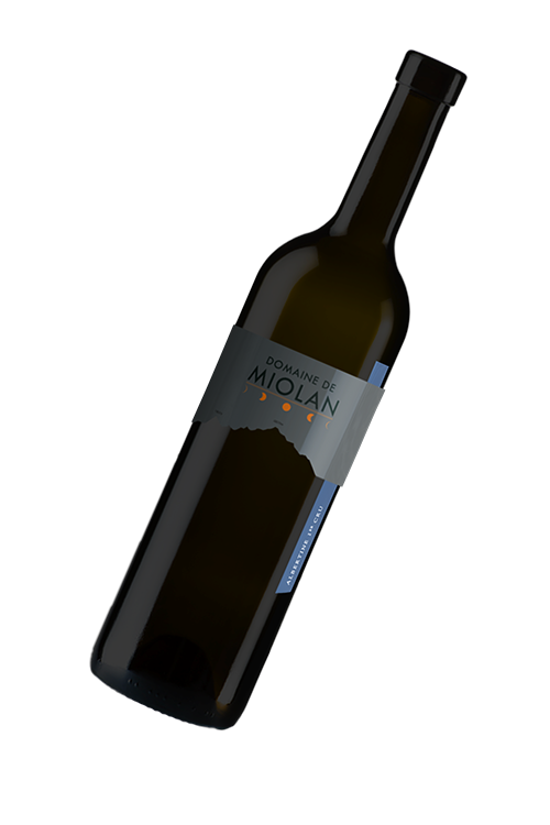 Bouteille 70.png 2024 — Merlot, Domaine de Miolan AOC Genève